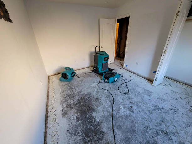Best Water damage contractors near me  in Blue Mound, TX