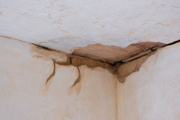Best Fire Damage Restoration  in Blue Mound, TX