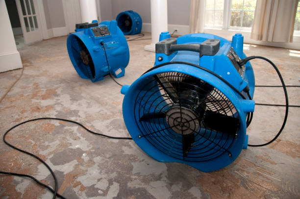 Best Sewage cleanup and water damage restoration  in Blue Mound, TX