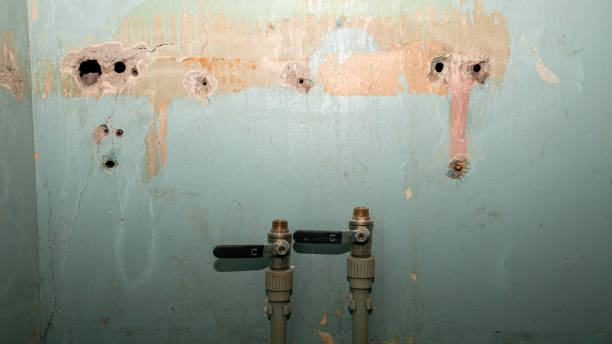 Best Emergency water extraction  in Blue Mound, TX