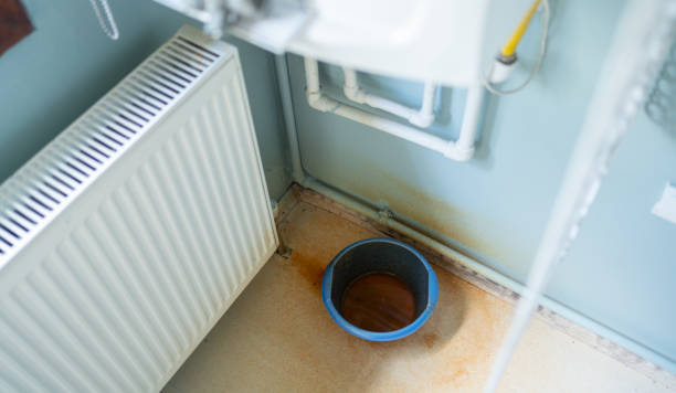 Best Local water damage restoration  in Blue Mound, TX