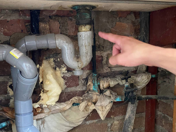 Best Water damage cleanup near me  in Blue Mound, TX