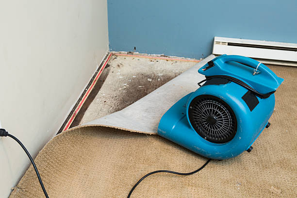 Best Professional water damage repair  in Blue Mound, TX